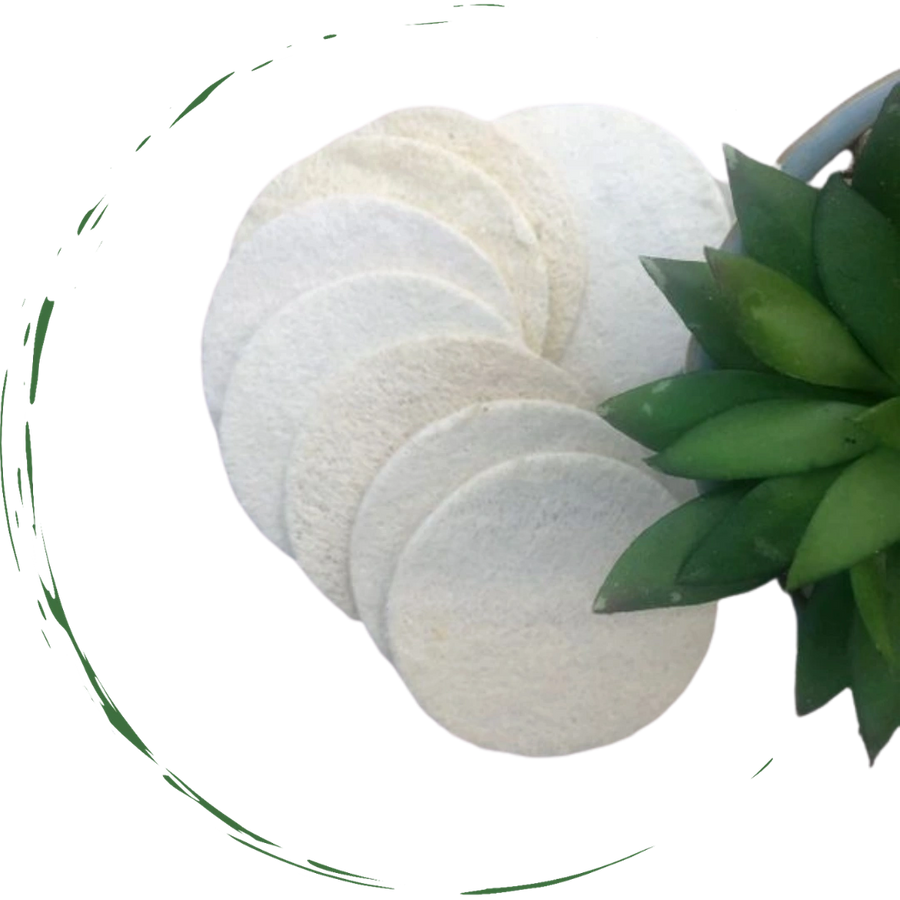 10-Pack Natural Loofah Pads